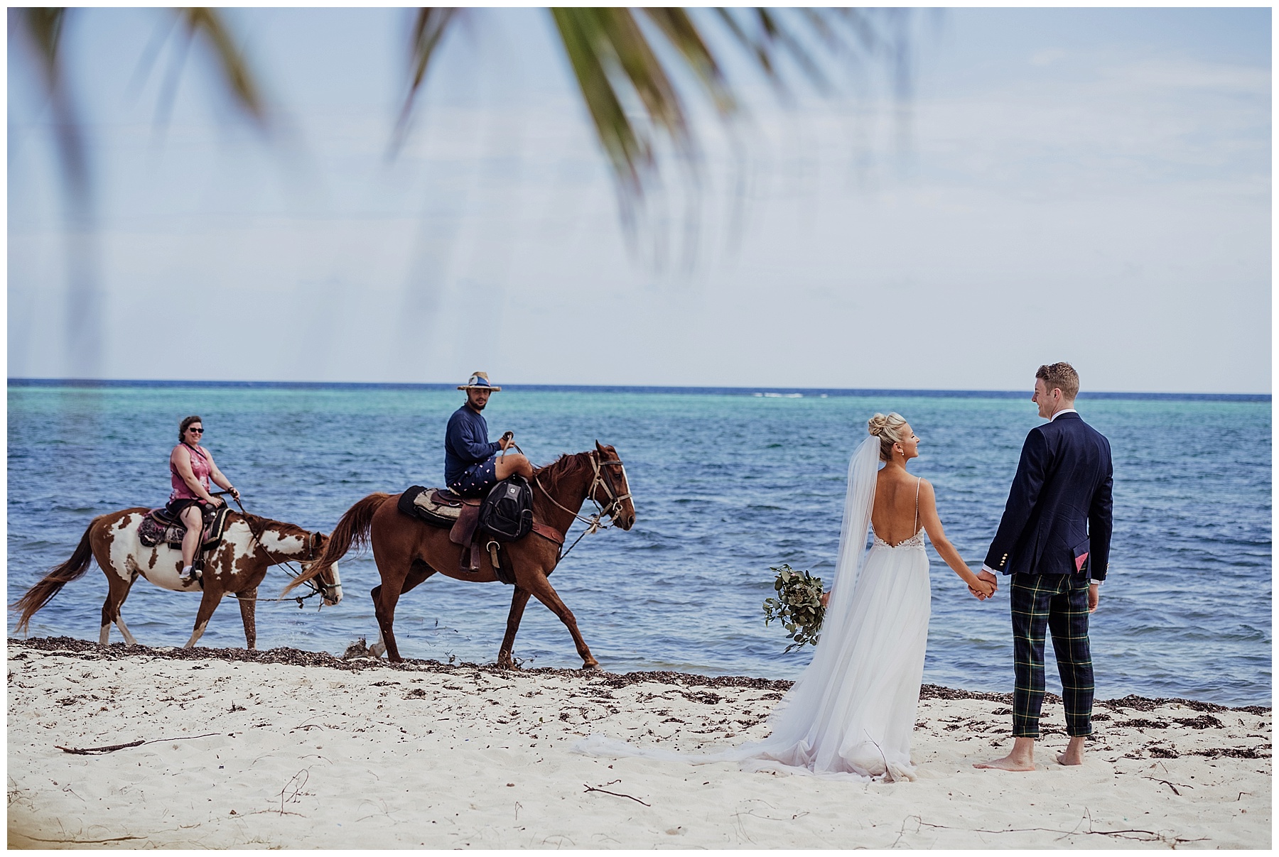 horses on beach 