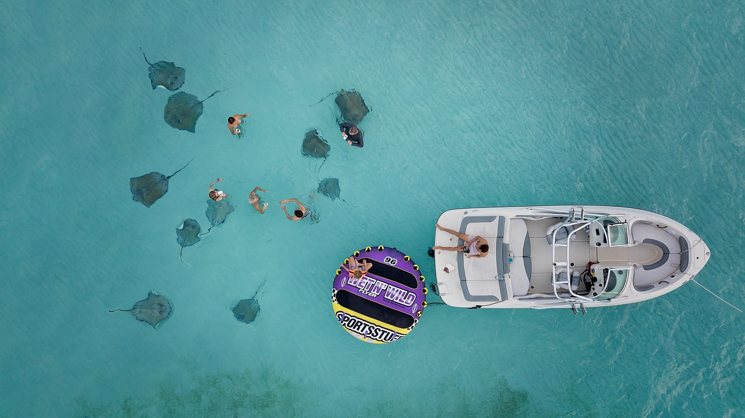 becs in stingray city